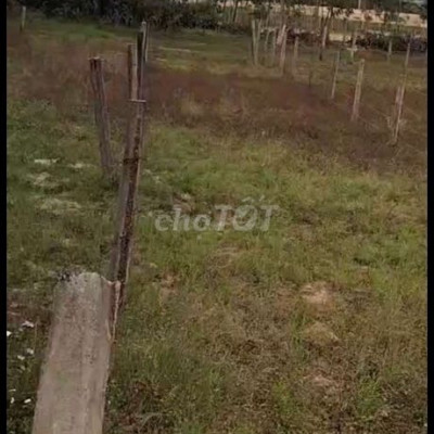 Cần bán lại lô đất