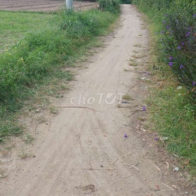 Bán lô đất diện tích 442 m2 giá 270 triệu