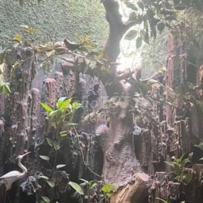 Bán nhà 3 tầng mặt tiền khu Hoàng Anh Gia Lai