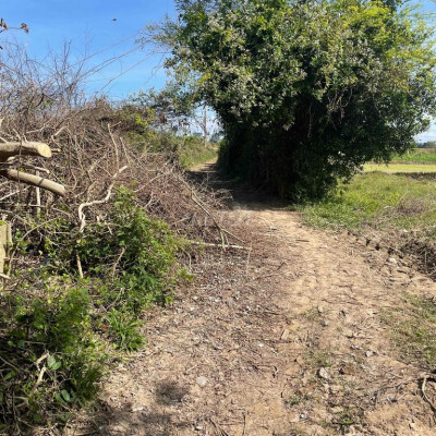 Cần tiền đầu tư lĩnh vực ăn uống bán nhanh