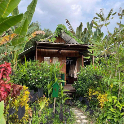 DI CHUYỂN TPHCM ĐẾN BẢO LỘC CHỈ CÓ 2 tiếng