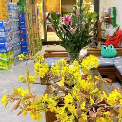 Bán nhà 3 tầng khu Lê Thanh Nghị giá 4 tỉ190 triệu