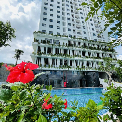 Bán lỗ căn chung cư 2PN - 2WC ECOLIFE Tp. Quy Nhơn