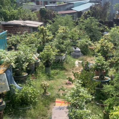 Bán đất full thổ cư phước an tuy phước 120m2 ngag5