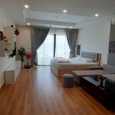 Cho thuê chung cư cao cấp Pullman Tms