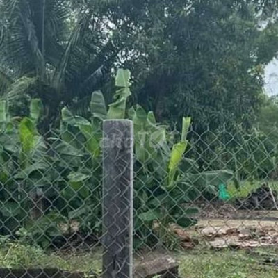 Bán lô đất toàn bộ thổ cư Cát Trinh giá 495 triệu