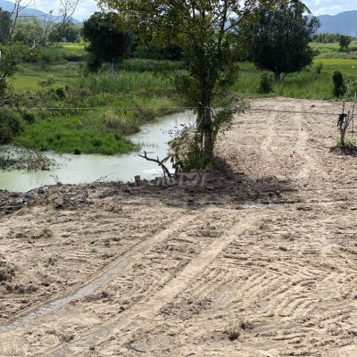 Chính chủ bán nhanh nhà vườn tại tây thuận