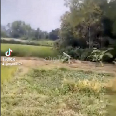 Chính chủ bán nhanh lô đất vườn