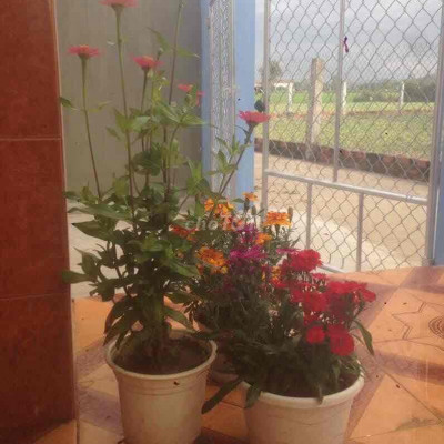 nhà 3 mặt tiền huyện Tây Sơn