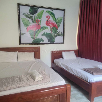 Phòng trọ khách sạn cho thuê dài hạn ĐH Quy Nhơn