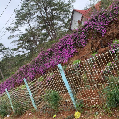 Mặt bằng kinh doanh góc ôm cua An Dương Vương 560m2 view biển Quy Nhơn