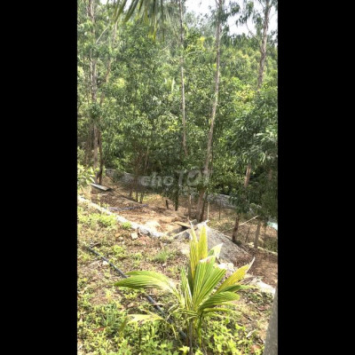 Chính chủ bán nhà quốc lộ 1 A