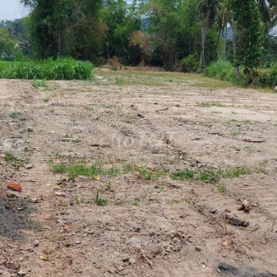 Bán lô đất 3 mặt tiền Phù Mỹ ngang vô cùng đẹp 60m giá 630 triệu