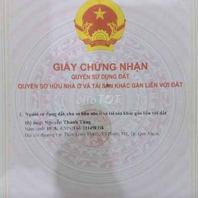 Bán đất trồng rừng.
