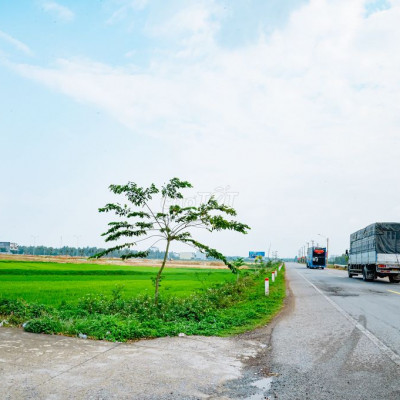 Cắt Lỗ Đất Mặt Tiền Quốc Lộ 1A Gần Cảng Tam Quan Bình Định