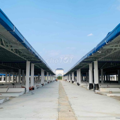 Tiến độ Chợ Mới An Nhơn - Bình Định. Vài nền Sổ đỏ,Giá tốt.Chính chủ