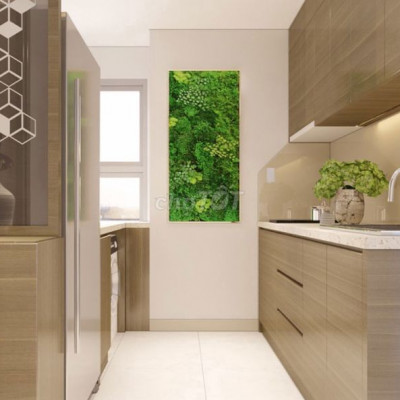 CH Quy Nhơn Melody MT Nguyễn Trung Tín sát Anya Hotel giá 1,4tỷ/50.6m2