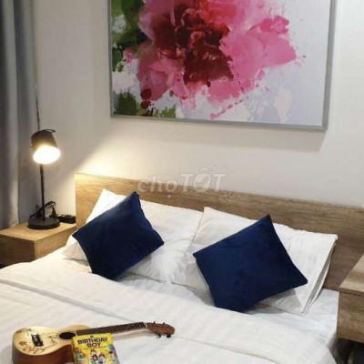 Cho thuê căn hộ chung cư TMS, đường Nguyễn Huệ, tp Quy Nhơn full NT