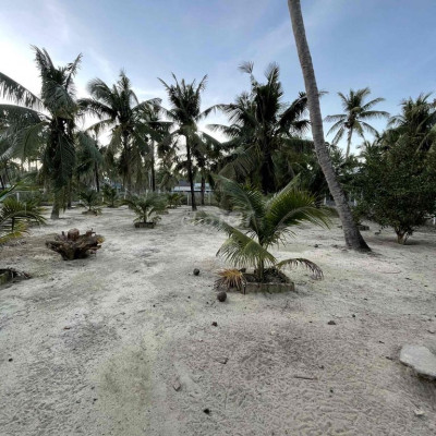 cần bán nguyên lô đất vuông vấp siêu đẹp