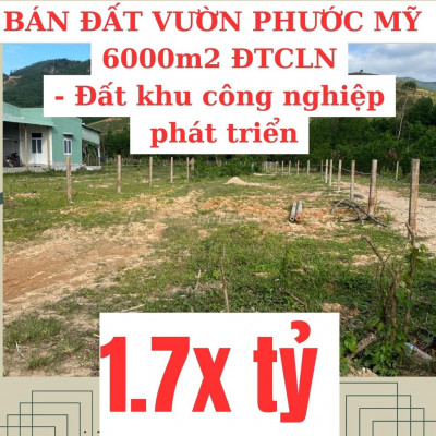 Cần bán nhanh lô đất Phước Mỹ,khu quy hoạch công nghiệp,giá cạnh tranh