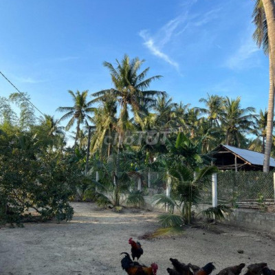 CẦN BÁN LÔ ĐẸP ĐẤT THỔ CƯ 1811,6 M2 Xã Hoài Châu- Hoài Nhơn- Bình Định