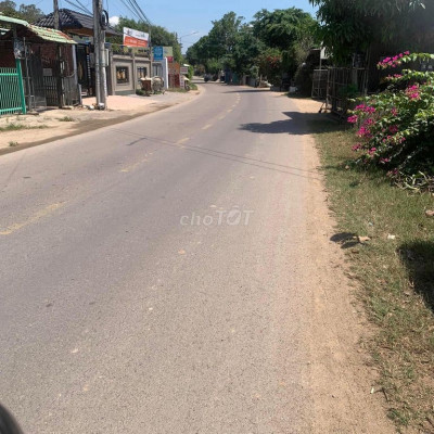 cho thuê đất lâu dài ở phước sơn