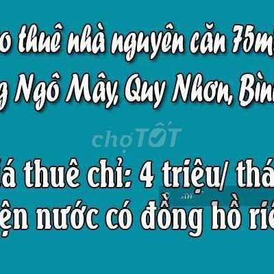 Cho thuê nhà nguyên căn 75m2 Đường Ngô Mây, Quy Nhơn, Bình Định