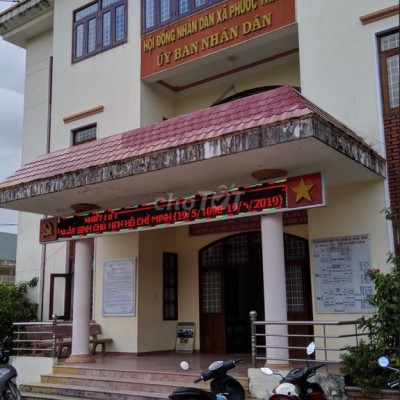 Bán 20 mẫu tràm giá chỉ 2,5 tỷ tại Tuy Phước Bình Định gầnKCN Becamex