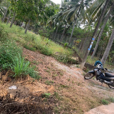 Đất lớn Thôn Lâm Trúc Phường Hoài Thanh, Hoài Nhơn, Bình Định