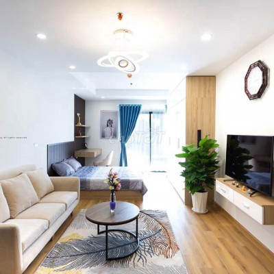 Cho thuê chung cư TMS 1pn full nội thất