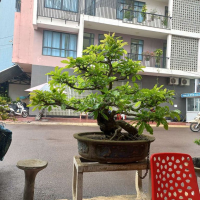 Cho thuê nhà mặt tiền đường Nguyễn Thị Định, phường Nguyễn Văn Cừ