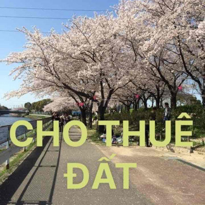 CHO THUÊ ĐẤT KHU VỰC HỒ SINH THÁI ĐỐNG ĐA