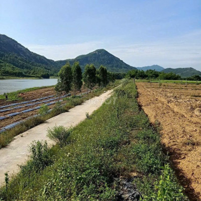 ĐẤT VƯỜN VIEW SÔNG, 2MT OTO, CÁCH TP 5KM, SÁT CAO TỐC BẮC NAM - XẢ 2XX