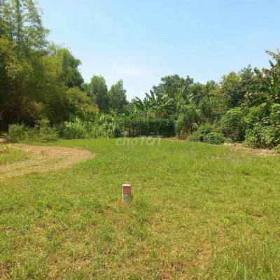 KẸT TIỀN BÁN GẤP LÔ ĐẤT MẶT TIỀN