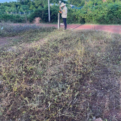 bán lô đất ở toàn bộ