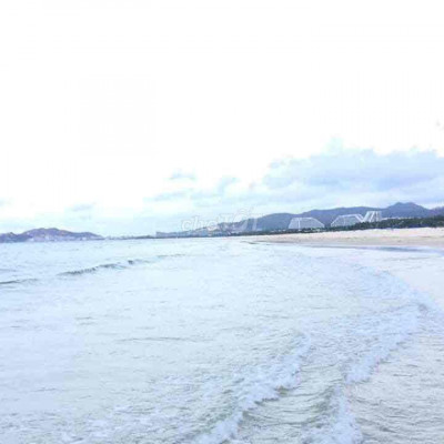 Bán cắt lỗ đất biển Quy Nhơn, Nhơn Hội New City, PK2,4,9 giá 1,4 tỷ