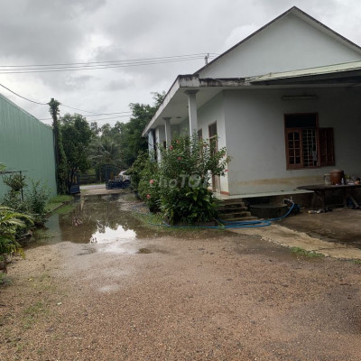 Cho thuê xưởng 3250m2 CCN Phước An Tuy Phước