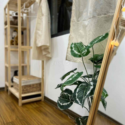 cho thuê chung cư an phú thịnh quy nhơn