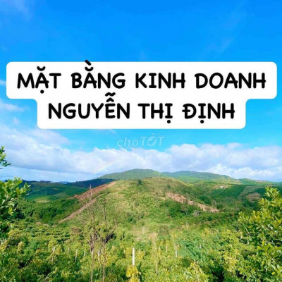 🏝️ MẶT BẰNG KINH DOANH ĐƯỜNG NGUYỄN THỊ ĐỊNH 🏝️
