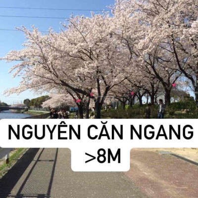 ❤️ TỔNG HỢP MẶT BẰNG NGANG >8m❤️