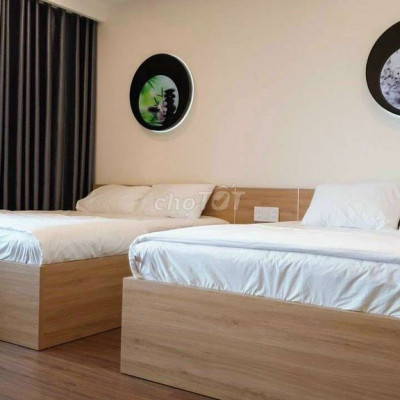 Cho thuê căn hộ chung cư cao cấp FLC Quy Nhơn