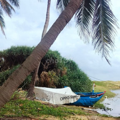 Dat biển bình định