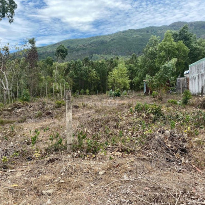 chính chủ bán lô đất dt 900m phường bùi thị xuân