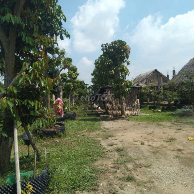 Cần bán đất ngay Mặt tiền Quốc Lộ 19 huyện Tây Sơn tỉnh Bình Định