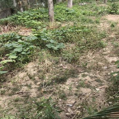 Bán lô đất hoài nhơn ai cần liên hệ