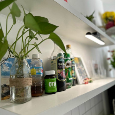 Cho thuê căn hộ Ecohome 2PN - 3PN 2.5 tr - 3 tr - 4tr. Đầy đủ nội thât