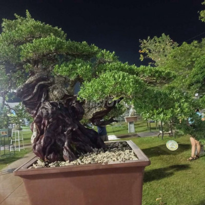 Bán khách sạn trung tâm tp Quy Nhơn, Bình Định