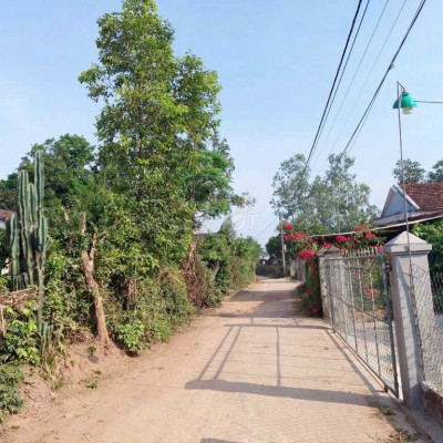 Đất Cát Tân, Ngay Nhà Văn Hoá Tân Hoà, Đường Ô Tô