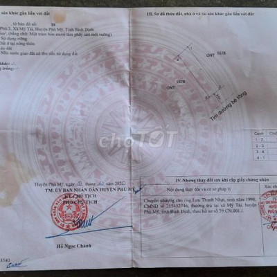 XẢ LỖ LÔ ĐẤT TẠI PHÙ MỸ, BÌNH ĐỊNH