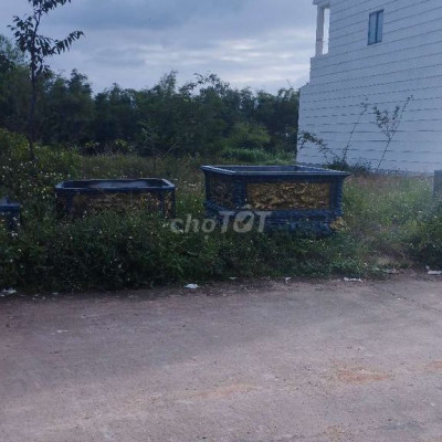 Bán lô đất sau chợ Gò Găng